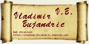 Vladimir Bujandrić vizit kartica